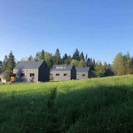 Villa Bieszczadzka Laka Kalnica  Exterior foto