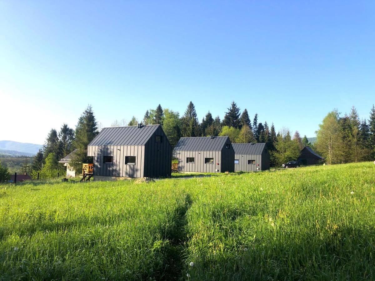 Villa Bieszczadzka Laka Kalnica  Exterior foto